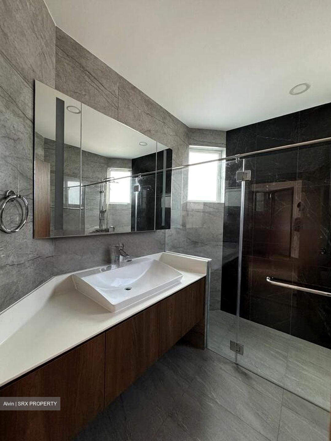 Honolulu Tower (D10), Apartment #456613391
